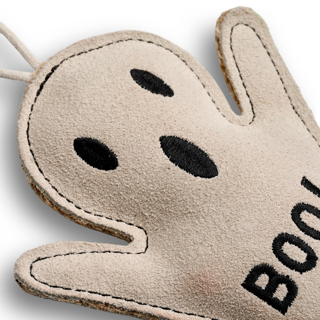 Boo Hoo Ghost Eco Dog Toy