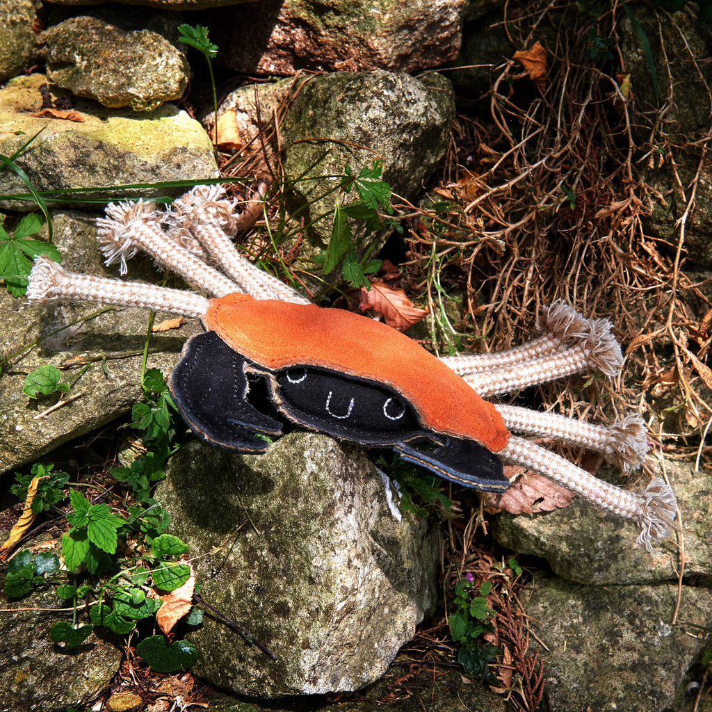 Carlos the Crab Eco Dog Toy