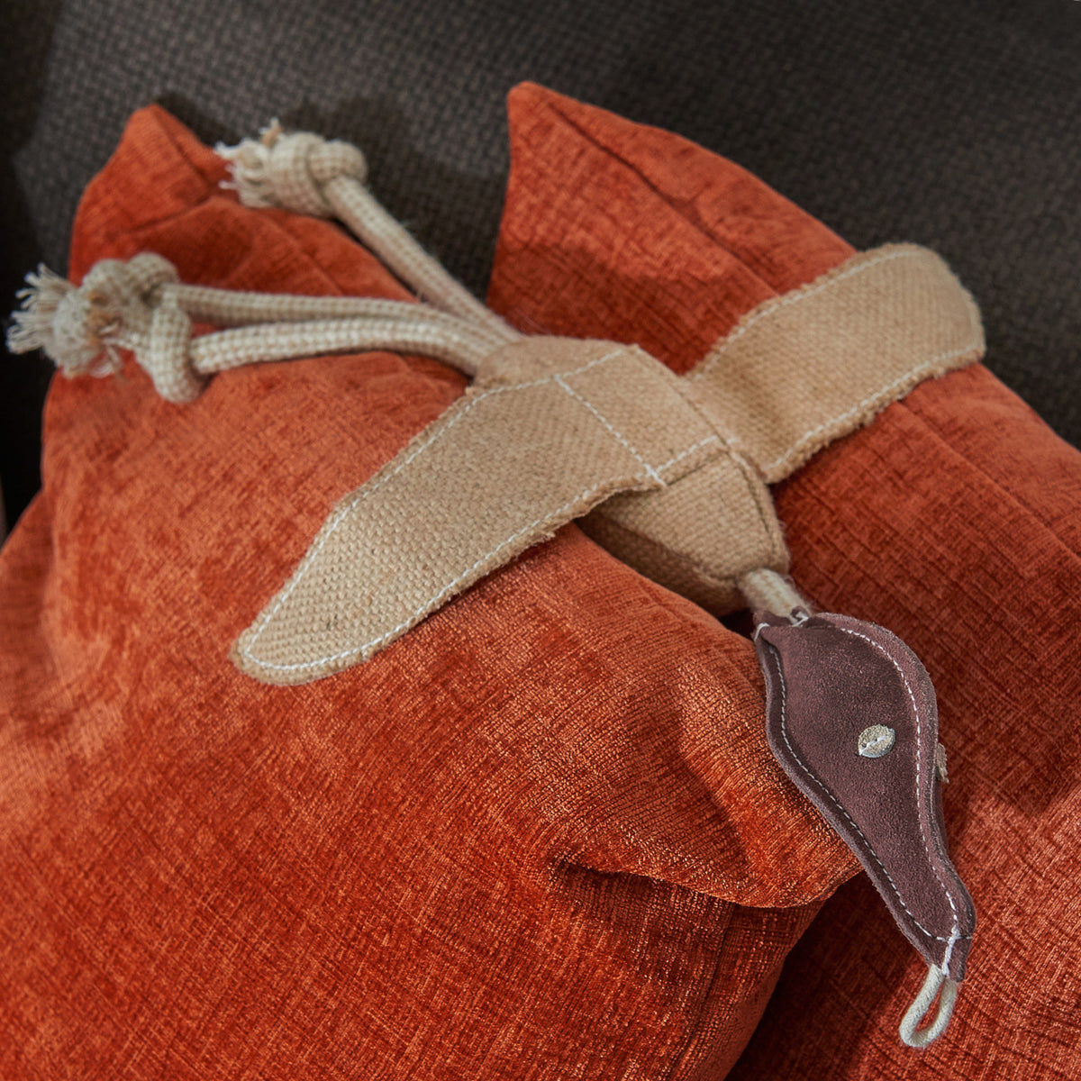 Desmond the Duck Eco Dog Toy