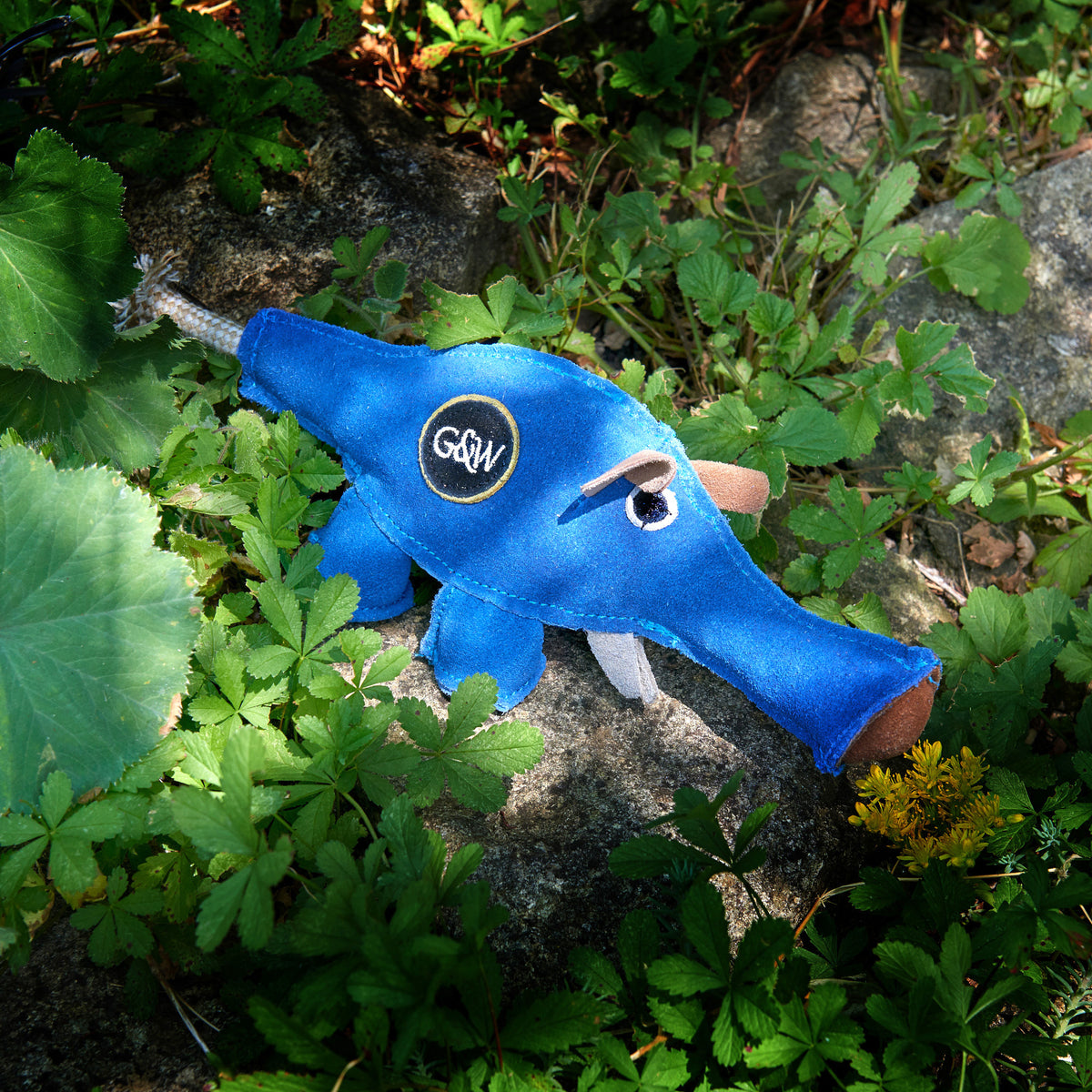 Dino the Dyno Fish