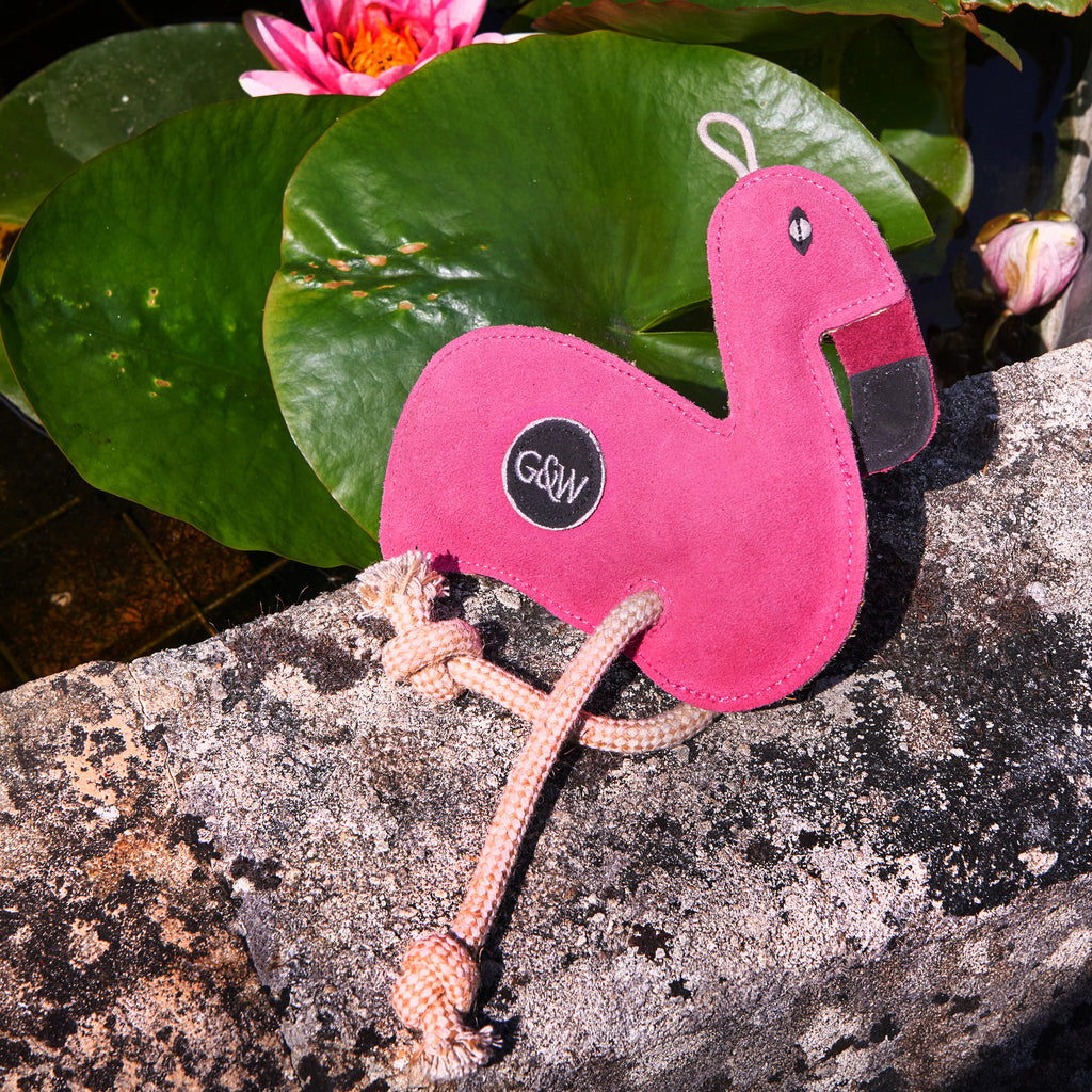Floyd the Flamingo Eco Dog Toy