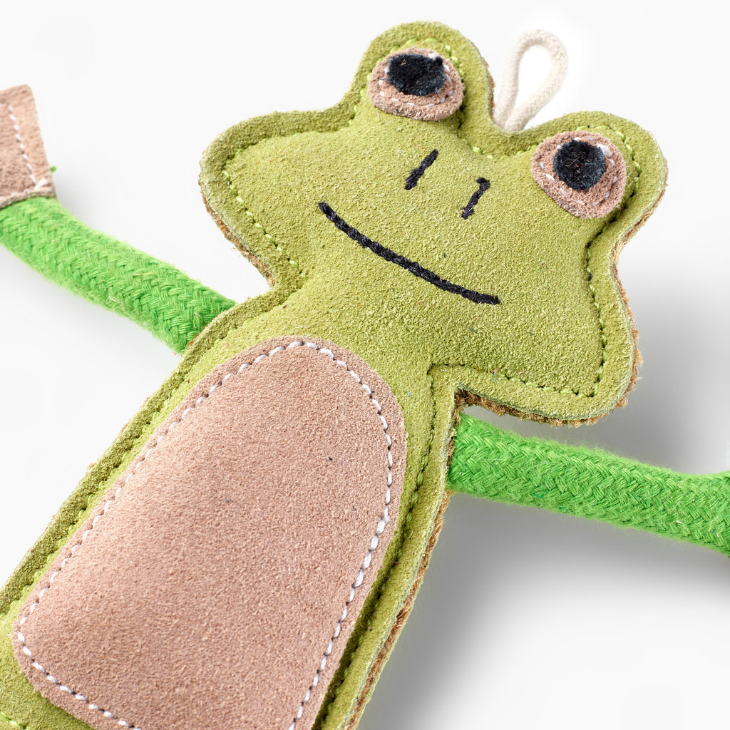 Francois Le Frog Eco Dog Toy