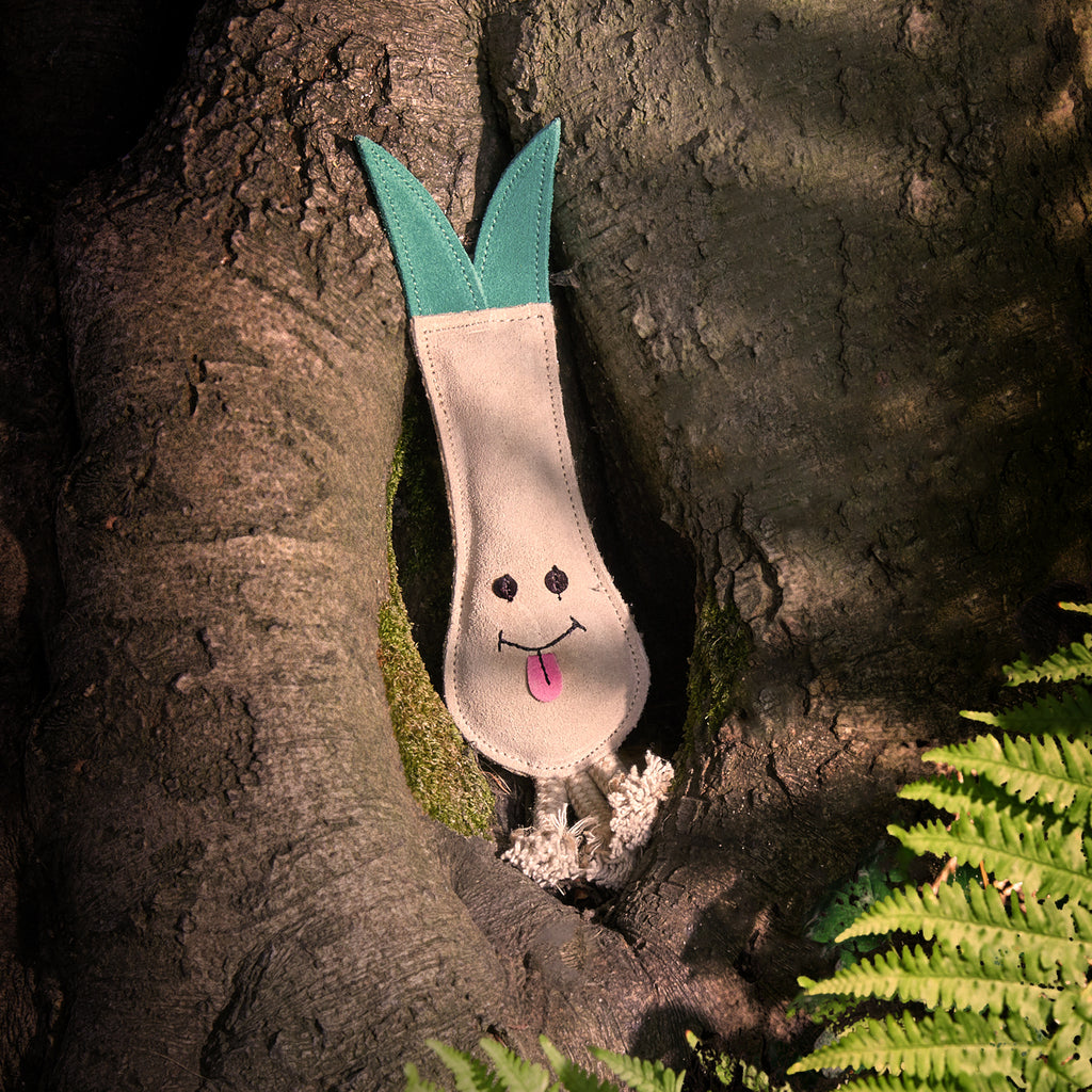 Lenny the Leek Eco Dog Toy