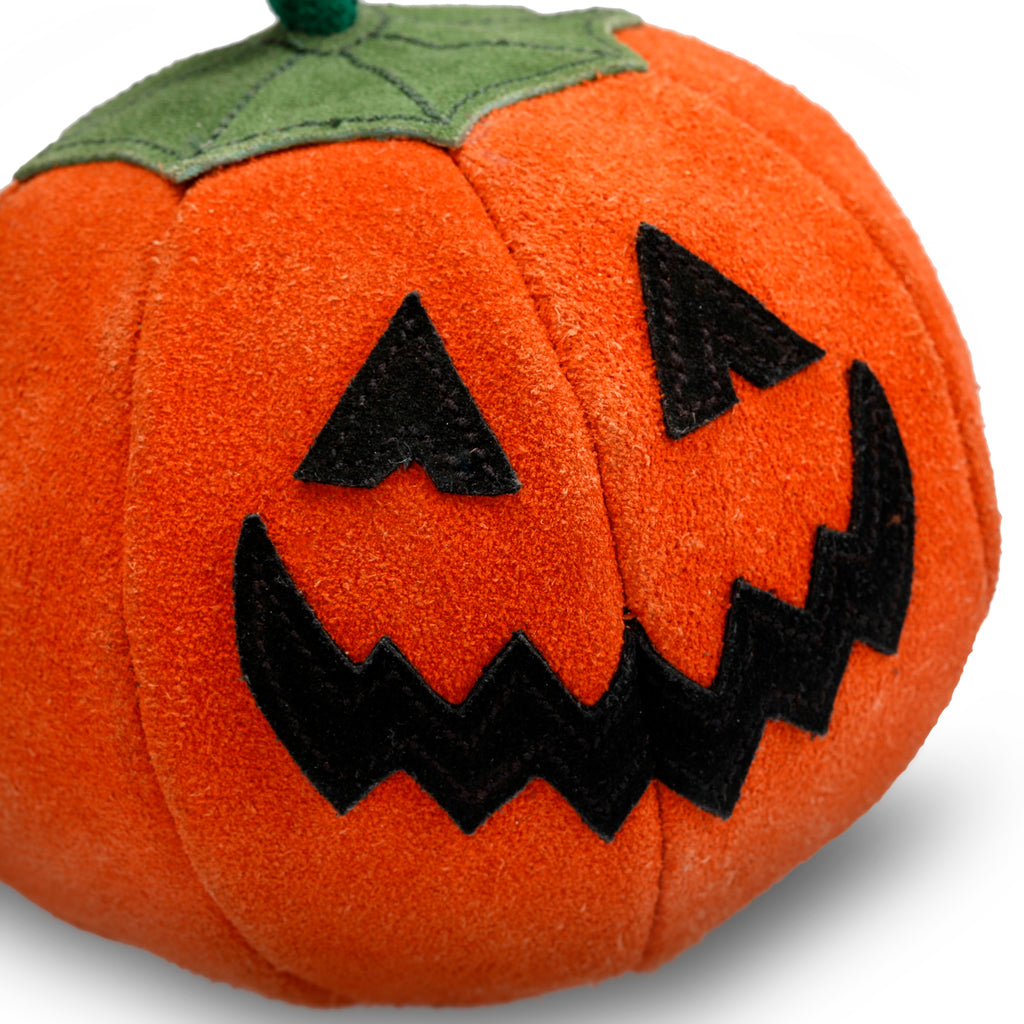 Patch the Pumpkin Eco Dog Toy