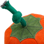 Patch the Pumpkin Eco Dog Toy