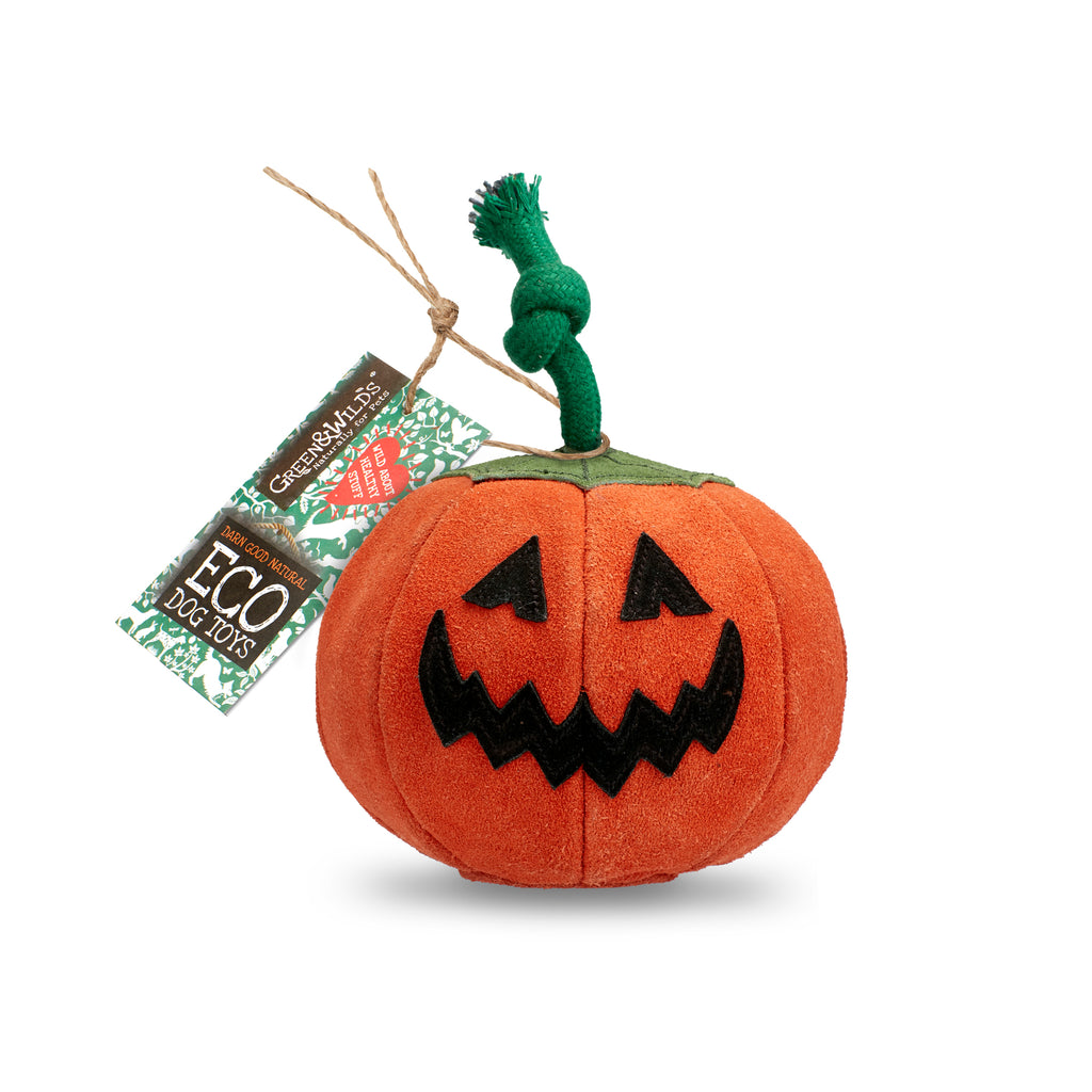 Patch the Pumpkin Eco Dog Toy