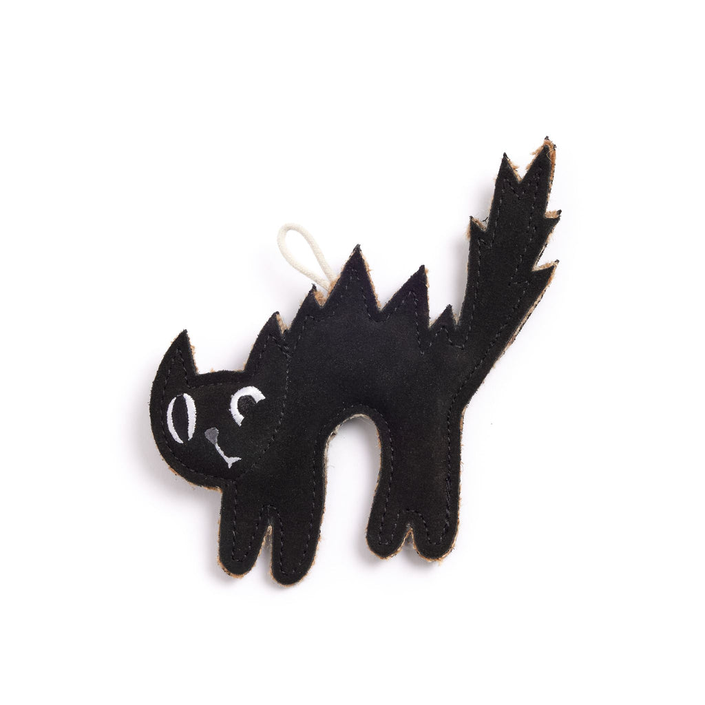 Scaredy Cat Eco Dog Toy
