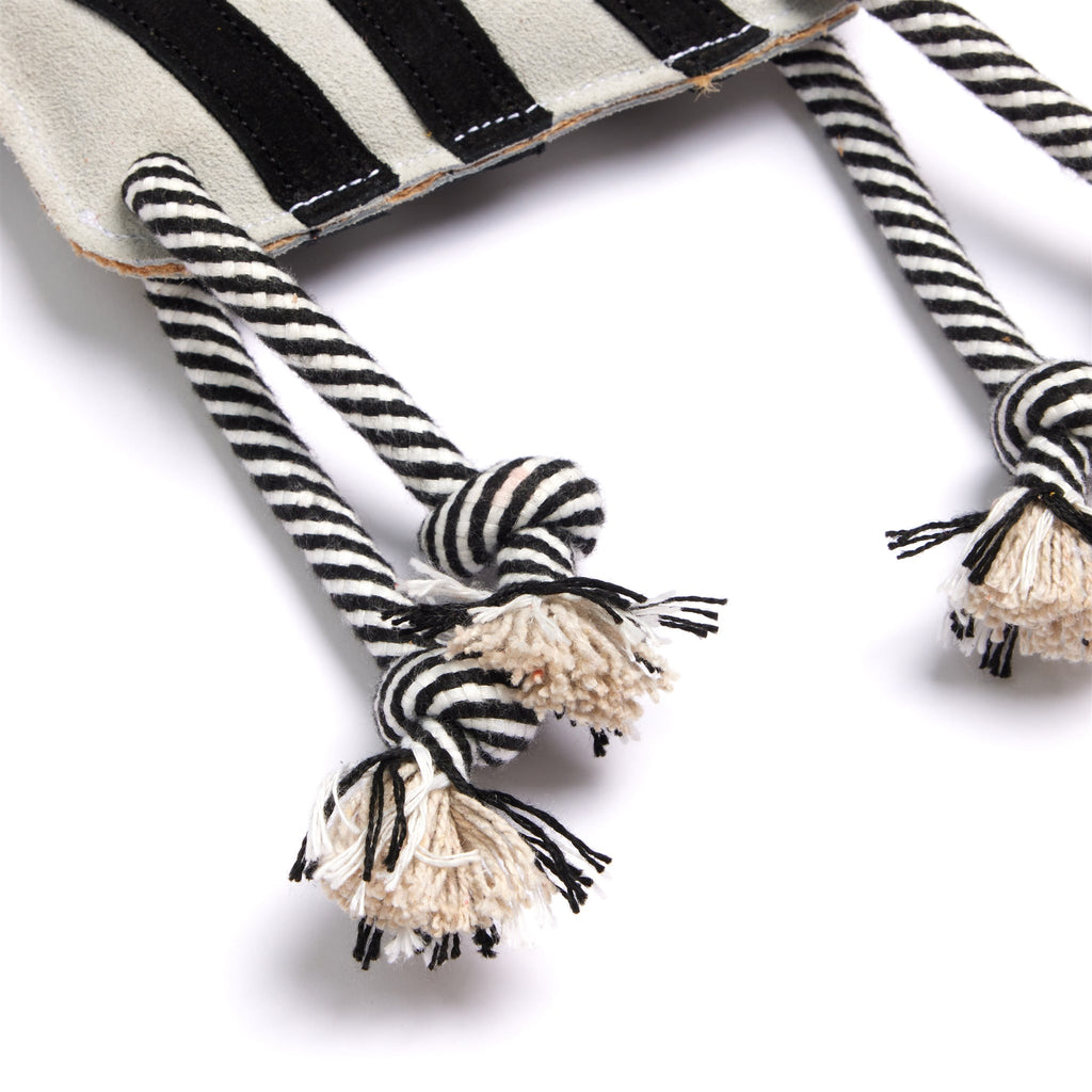 Zambezi the Zebra Eco Dog Toy
